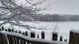 Field covered in snow