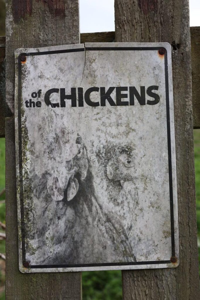 A sign which just says "of the chickens"