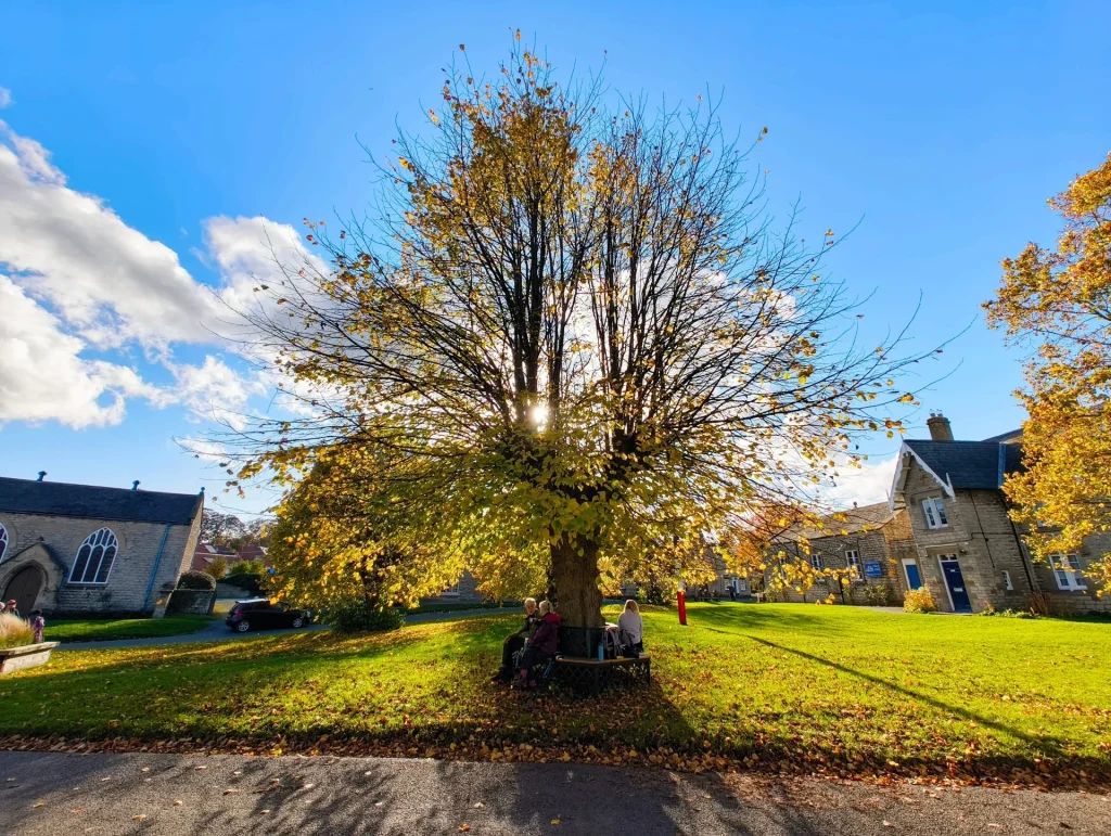 Howardian Hills walk on 2nd November 2025