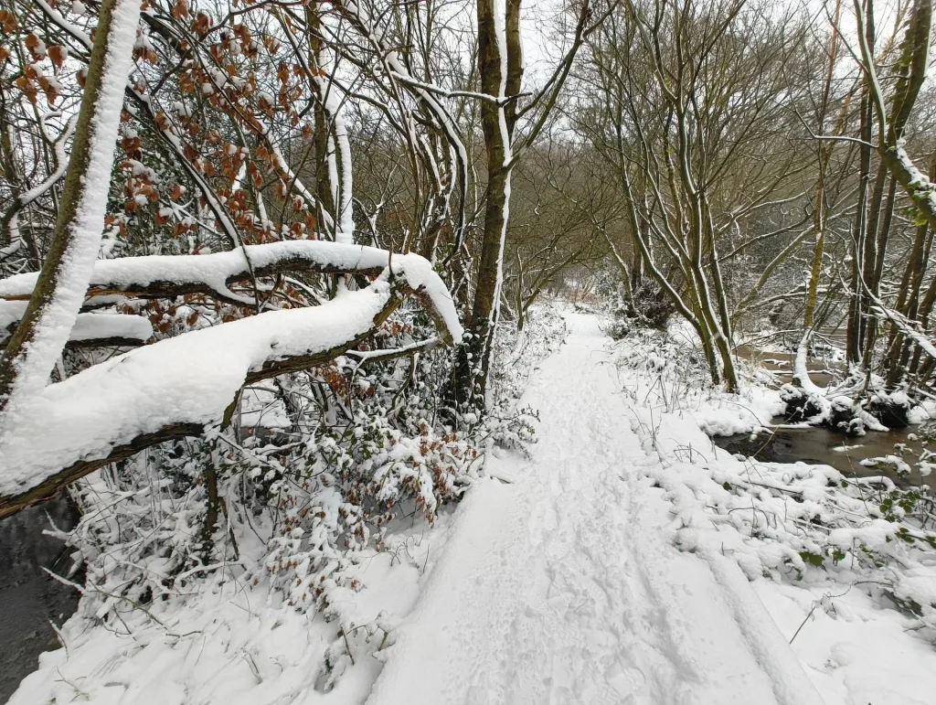 A snow-covered pathway surrounded by trees, with snow-laden branches and a gentle stream alongside.