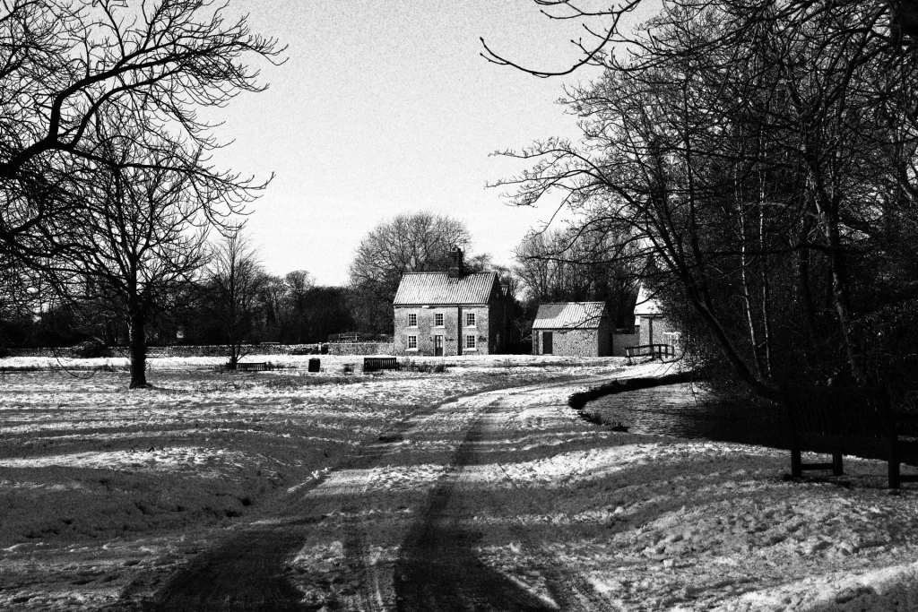 A snow-covered landscape featuring a path leading to a house with trees in the foreground and a fence in the background.