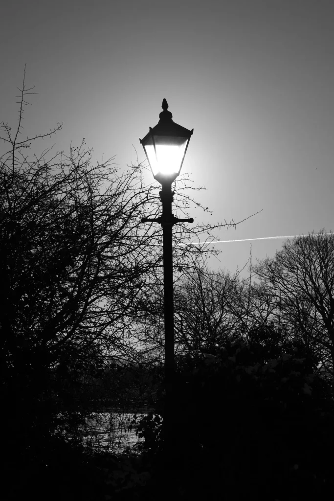 Silhouette of a street lamp surrounded by bare trees against a bright sky.