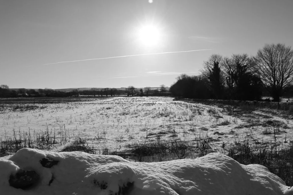 A black and white landscape photograph featuring a snowy field, with a bright sun shining in the sky and trees lined along the horizon.