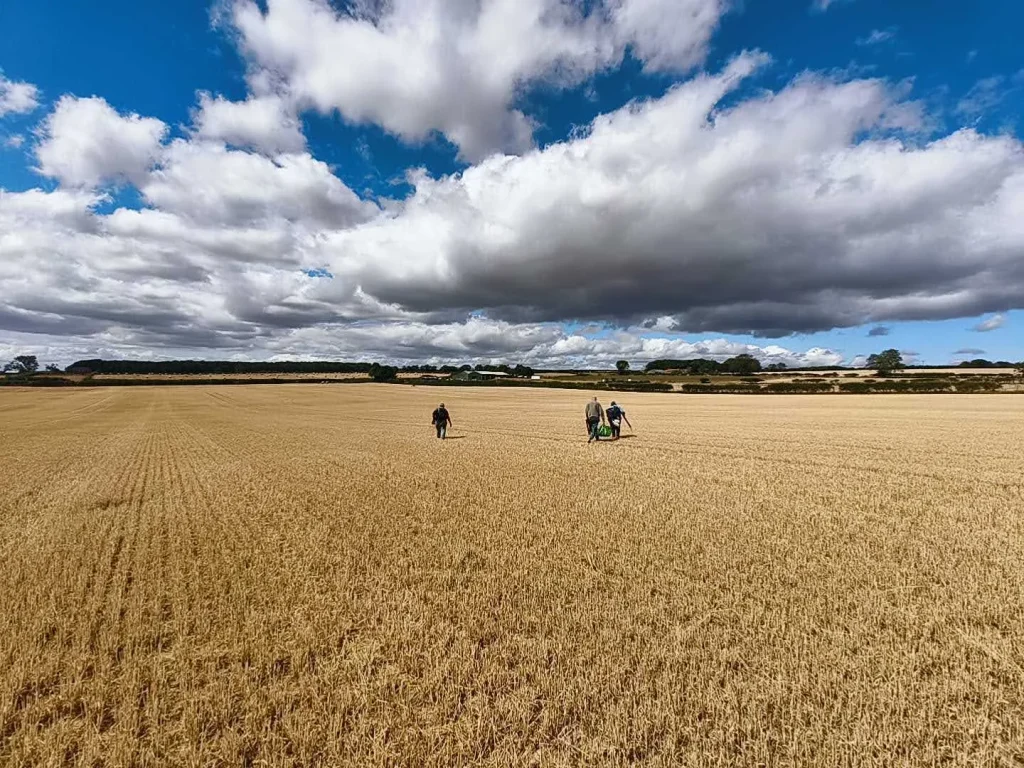 Three people walking through a harvested field under a partly cloudy sky.